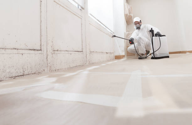 24/7 Emergency Mold Removal experts in Basking Ridge, NJ