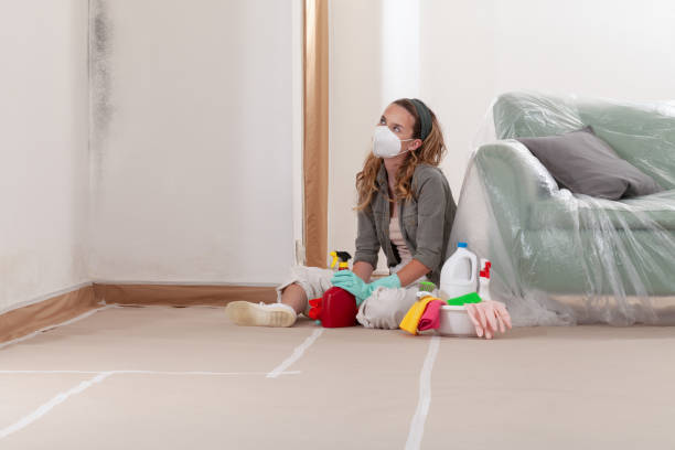 Trusted Mold Removal service in Basking Ridge, NJ - WQB Mold Removal